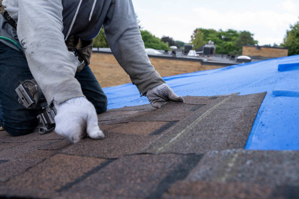 Best Storm Damage Roof Repair  in Flora, IN