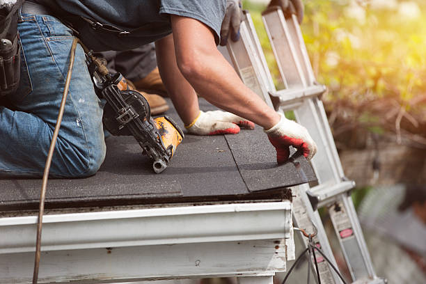 Best Roof Maintenance Services  in Flora, IN