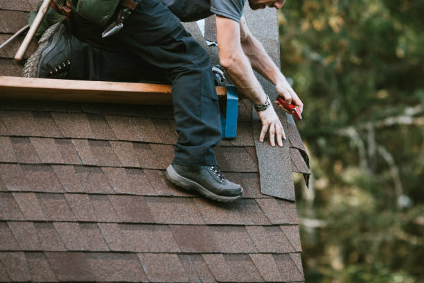 Best Roof Restoration Services  in Flora, IN